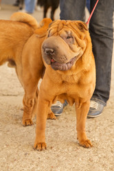 Similar image 21331347