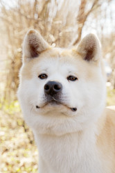 Similar image 21331349