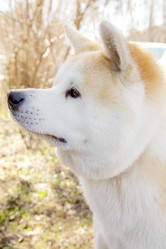 Similar image 21331460