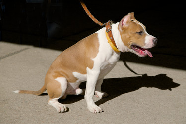 Similar image 21331544