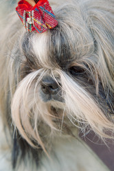 Similar image 21331726