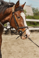 Similar image 21294303