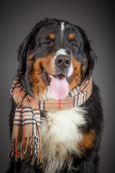 Similar image 21307701