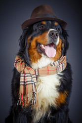 Similar image 21307702