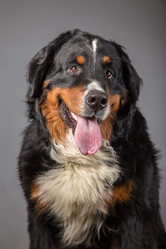 Similar image 21307845