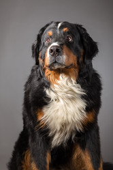 Similar image 21307935