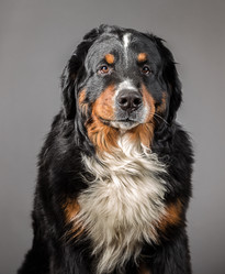 Similar image 21330968