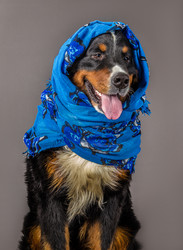 Similar image 21331069