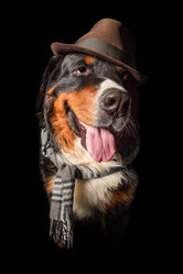 Similar image 21331148