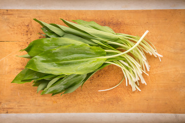 Similar image 21331150