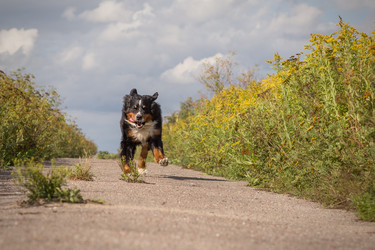 Similar image 21341917