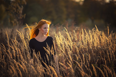 Similar image 21322111