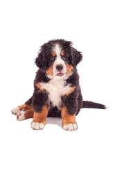 Similar image 21307815