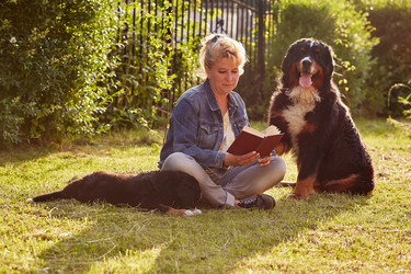 Similar image 21309185