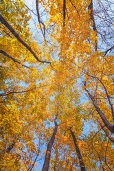 Similar image 21322126