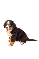 Similar image 21322134