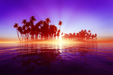 Similar image 21330901