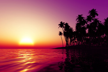 Similar image 21331157