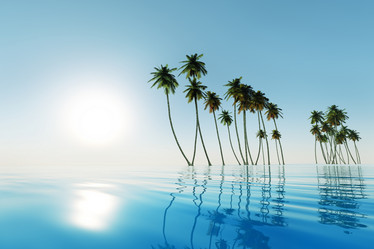 Similar image 21331158