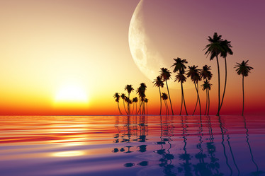 Similar image 21331237