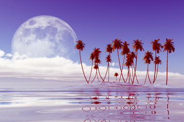 Similar image 21331238