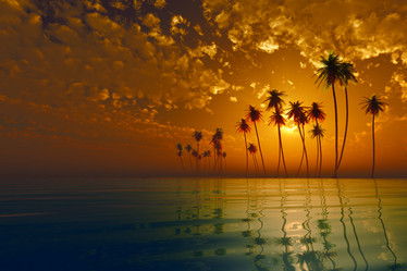 Similar image 21331239