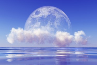 Similar image 21330972