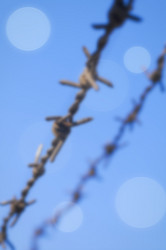 Similar image 21331161