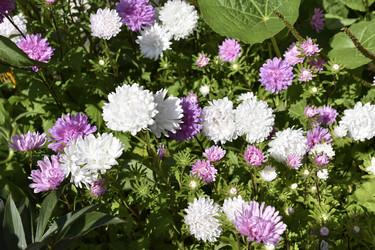 Similar image 21318811