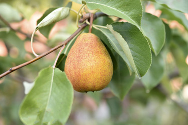 Similar image 21318814