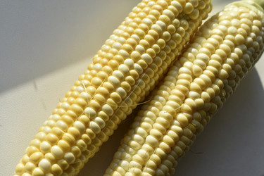 Similar image 21318818