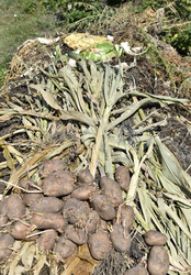 Similar image 21339269