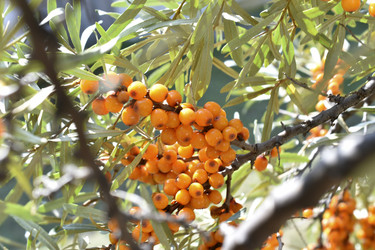 Similar image 21308774