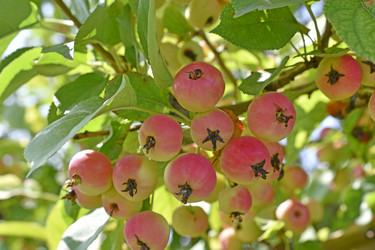 Similar image 21308815