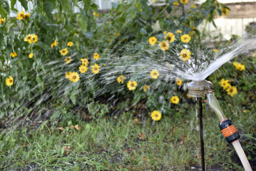 Similar image 21318821