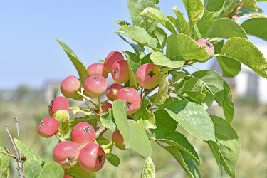 Similar image 21318823