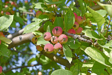 Similar image 21318824