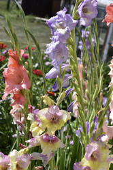 Similar image 21318826