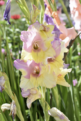 Similar image 21339273