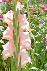 Similar image 21339367