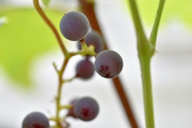 Similar image 21339368