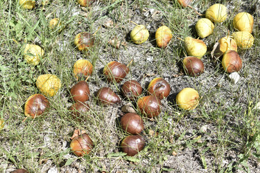 Similar image 21339370