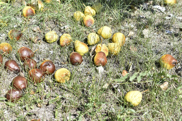 Similar image 21339371