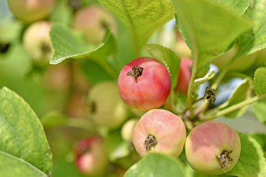 Similar image 21339278