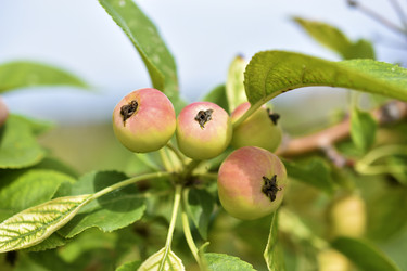 Similar image 21339279