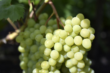 Similar image 21339372