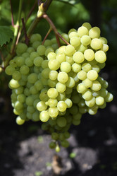 Similar image 21339373