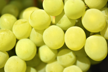 Similar image 21339374