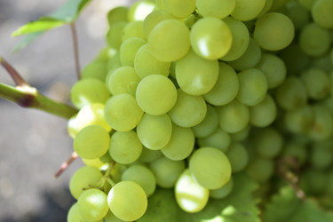 Similar image 21339375