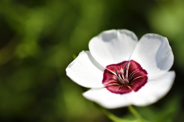 Similar image 21339377